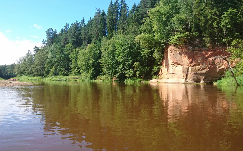 Gauja upe